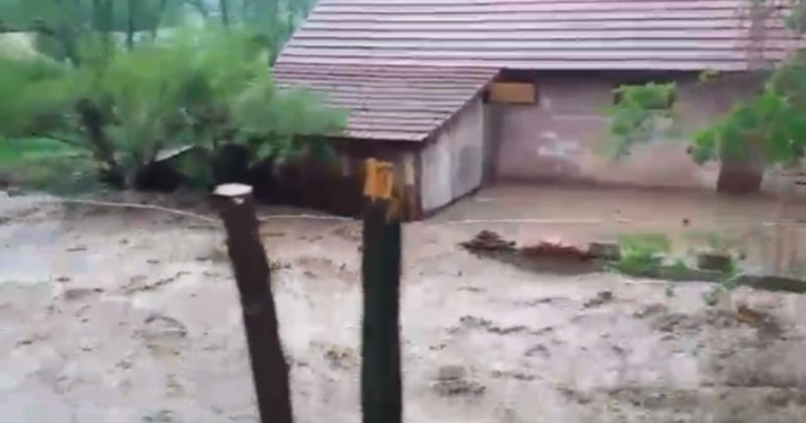 Poplavljena područja
