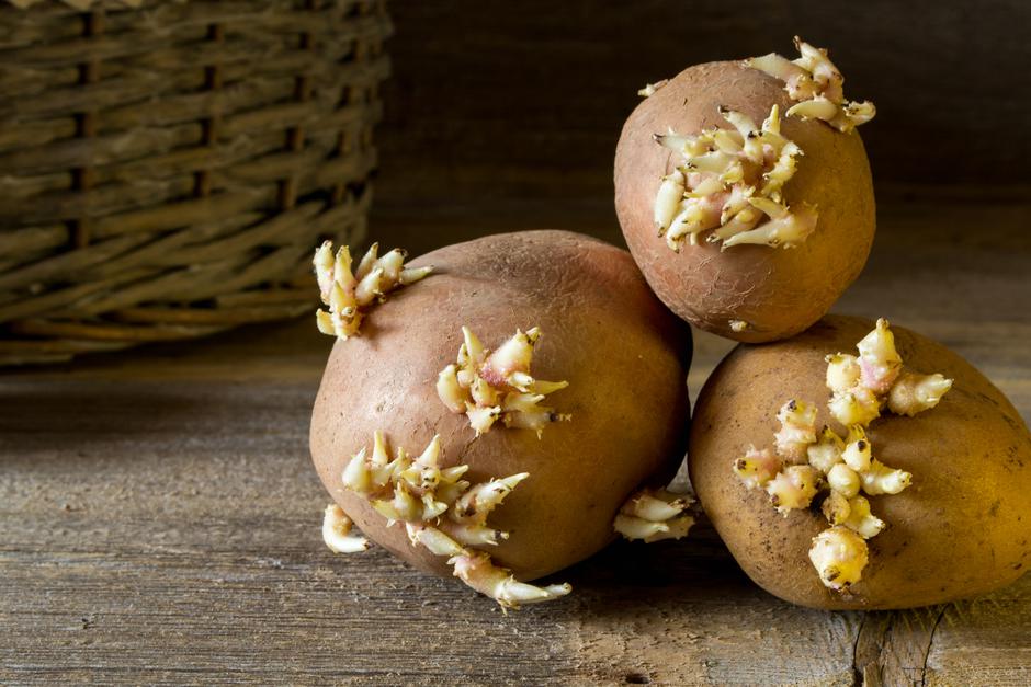 Vitamini krompir proklijali