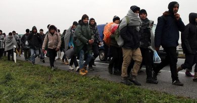 Migranti u Krajini