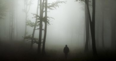 Nestala osoba - nestale osobe