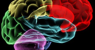 Zašto ne haluciniramo više