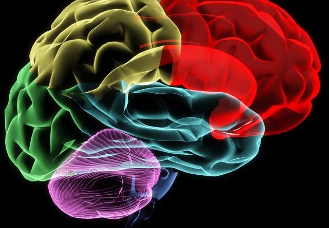 Zašto ne haluciniramo više