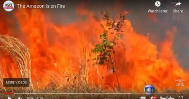 Amazon i Sibir u plamenu